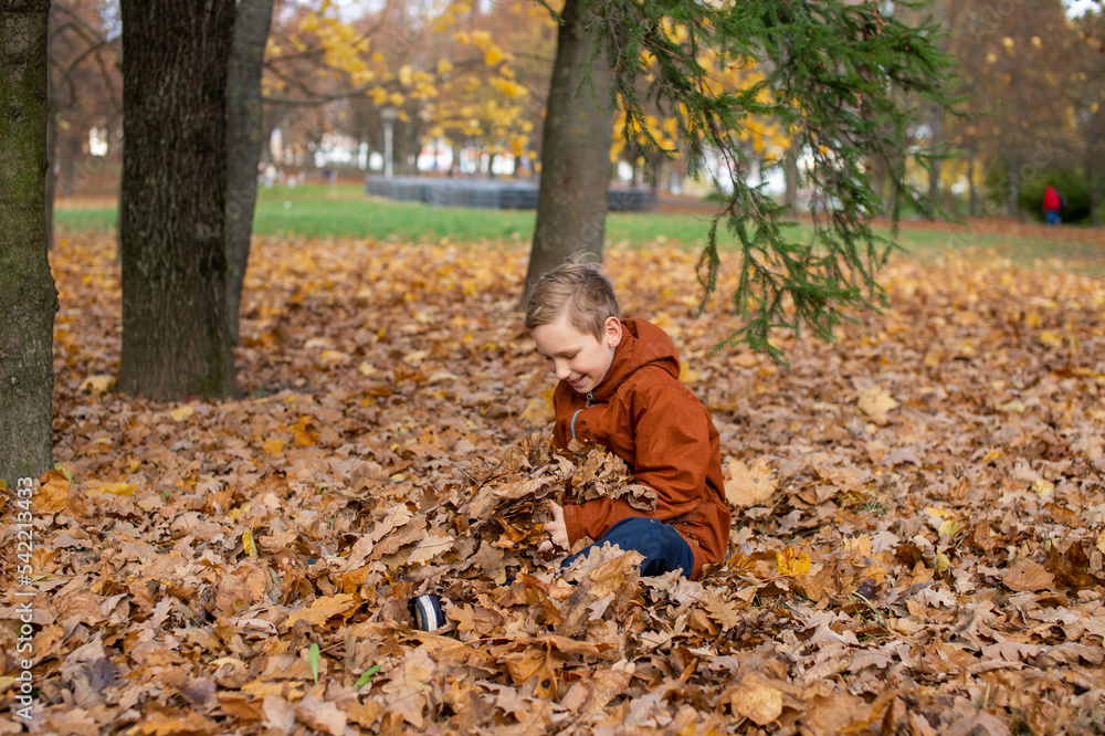 Cute boy sitting in autumn leaves in the park Cute boy sitting in autumn leaves in the park