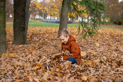 Cute boy sitting in autumn leaves in the park © Julia Jones