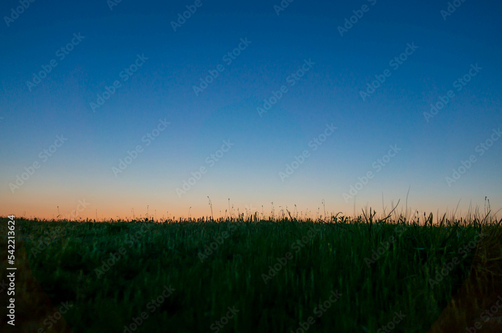 香川 丸亀城の美しい草原と夕暮れ空
