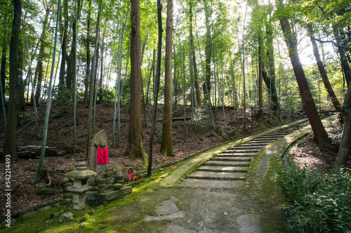 京都 正伝寺へ続く自然豊かな参道
