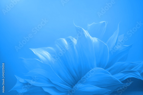 Blue background texture, wavy floral pattern design , icy windy and curvy illustration winter art 