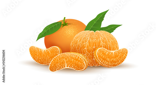 Realistic tangerine fruit