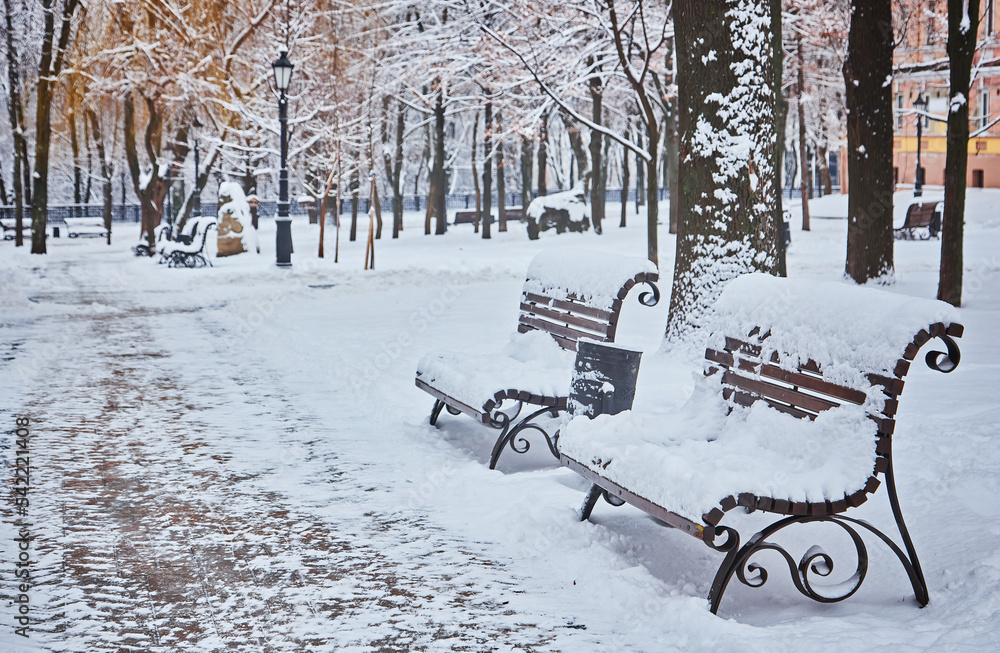 Snow-covered trees and benches in the city park.