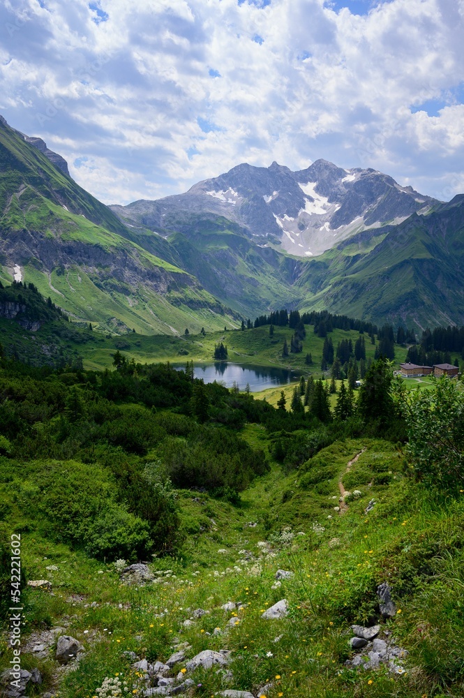 Landscape view with a waterbody between the trees and mountains in the background Landscape view with a waterbody between the trees and mountains in the background