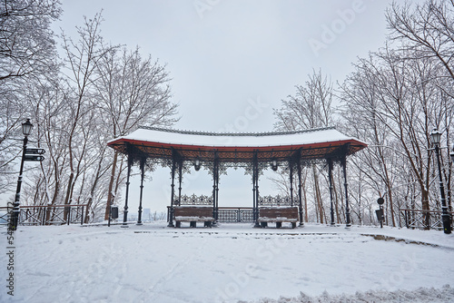 winter beautiful park with many big trees benches