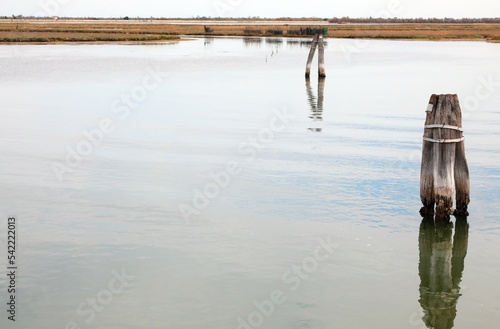 Venetian lagoon near Venice and the poles where signs of low tide can be seen at the base during the drought photo