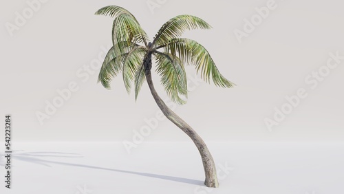 Palm tree on white background. 3d render.