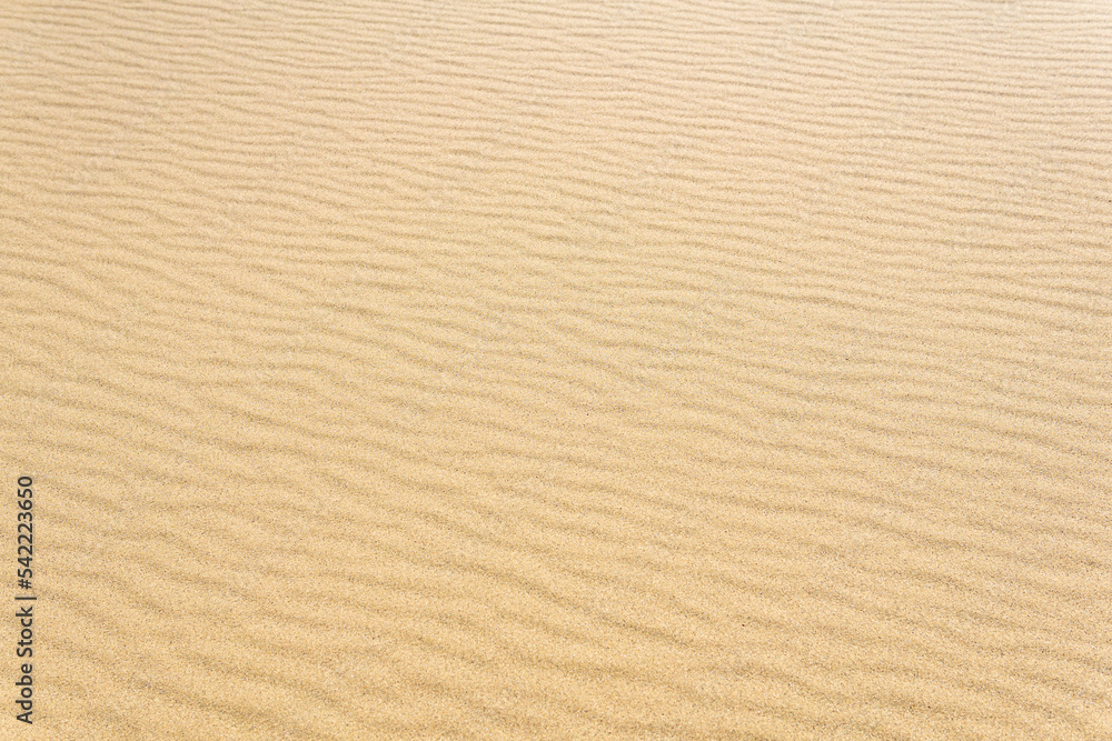 natural background, sandy desert surface with dunes natural background, sandy desert surface with dunes