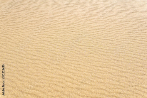 natural background, sandy desert surface with dunes