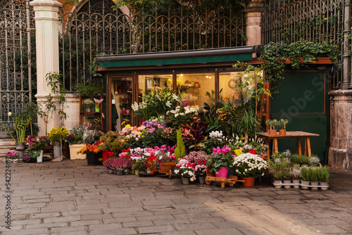 flower kiosk business in Venice  Italy