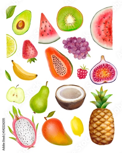 Fototapeta Naklejka Na Ścianę i Meble -  Watercolor painted collection of fruits. Hand drawn fresh food design elements isolated on white background.