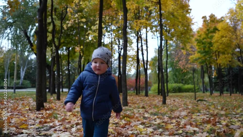 A little boy runs towards the cameras through fallen leaves among yellow trees in an autumn park. Video. Close-up A little boy runs towards the cameras through fallen leaves among yellow trees in an autumn park. Video. Close-up