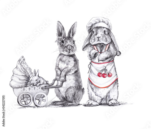 Mother rabbit with stroller and father on walk graphic isolated on a white background.Illustration with simple pencil.