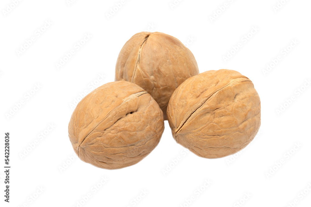 Isolated walnuts in a shell on a white background Isolated walnuts in a shell on a white background