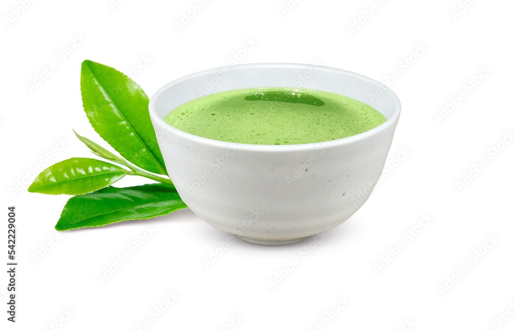 抹茶 粉茶 湯呑み イラスト リアル 抹茶 粉茶 湯呑み イラスト リアル
