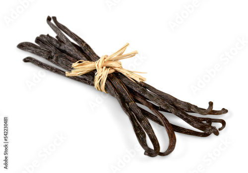 Dried vanilla sticks spice tied with a tourniquet photo