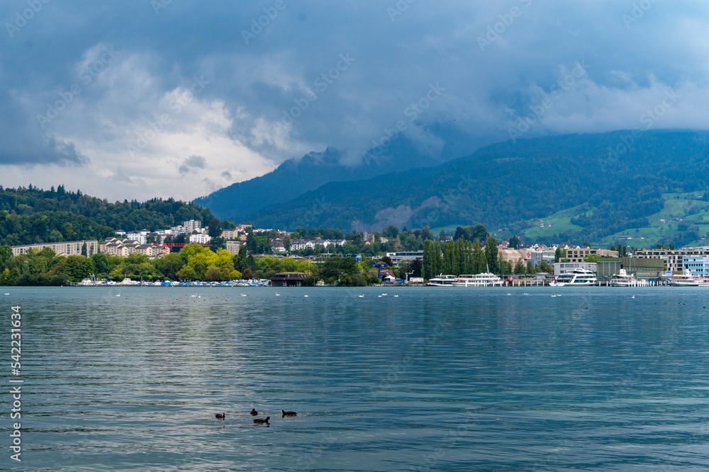 Naklejka premium view of lake country