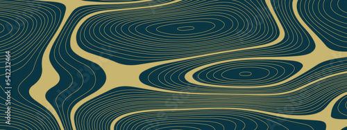 The stylized blue abstract topographic map with lines and circles background. Topographic map and place for texture. Topographic gradient linear background with copy space.  Vector illustration.