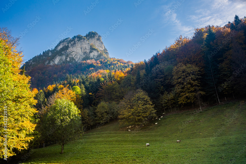 Mala Fatra Rozsutec mountains landscape