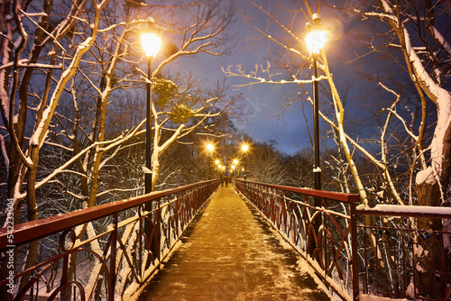 The Lover's Bridge in Mariyinsky Park in winter, Kiev photo