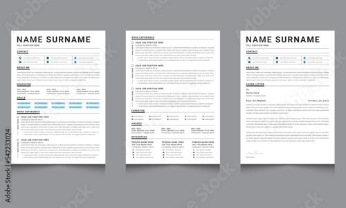 Clean Minimalist Resume Layout Set CV Templates Vector for Business Job Applications