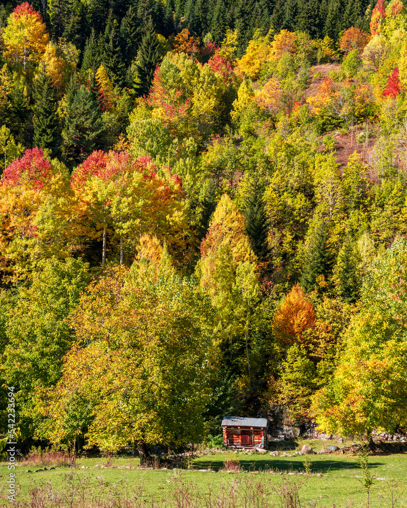 Obraz premium Autumn colors in Savsat Town of Turkey