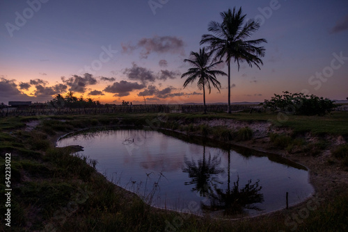 Paisagem de lagoa com coqueiros ao fundo e reflexos do céu, Atins, lençóis Maranhenses photo