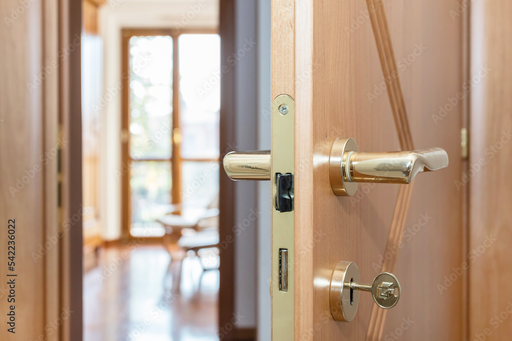 Obraz premium Modern door