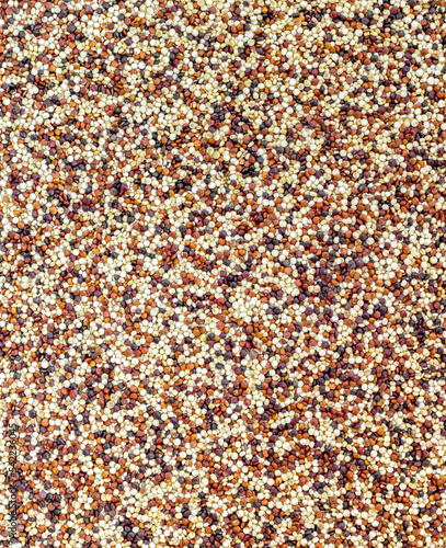 Seeds of uncooked quinoa
