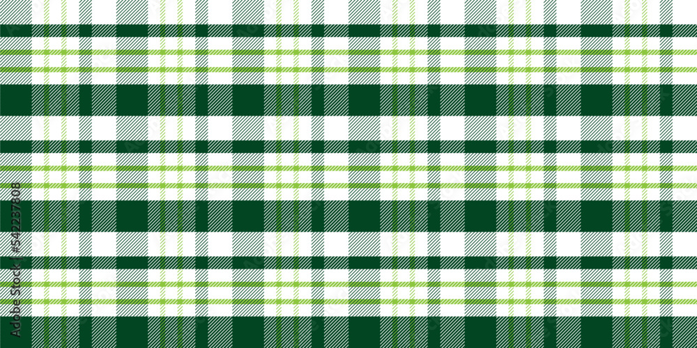 Fototapeta premium scottish fabric pattern design vector