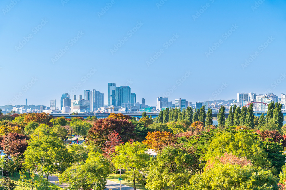 Obraz premium Aerial view of yeouido Hangang park in autumn season with skyscrapers and modern buildings cityscape, Seoul city, Republic of Korea