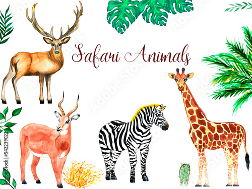 Watercolor safari  animals collection.  Giraffe  zebra  antelope and deer on the background of African plants