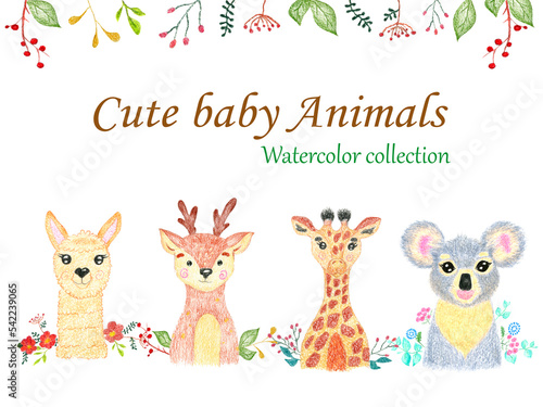 Fototapeta Naklejka Na Ścianę i Meble -  cute baby animals collection.  Giraffe, lama, koala and deer on a  flowers and leaves background