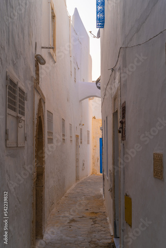 Hammamet - City of northwestern Tunisia - important tourist center. © skazar