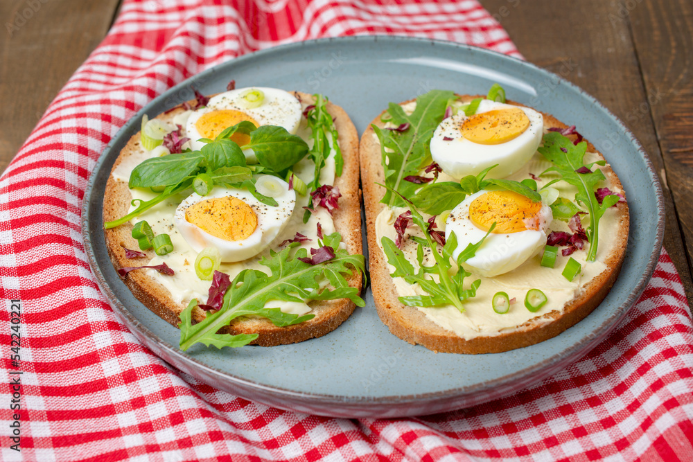 Boiled egg on bread with arugula, basil and pumpkin seeds cream in plate. Healthy food, keto diet, diet lunch concept. Boiled egg on bread with arugula, basil and pumpkin seeds cream in plate. Healthy food, keto diet, diet lunch concept.