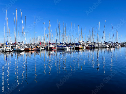 Yachts moored at harbour in Roskilde Fjord, Zealand, Denmark photo