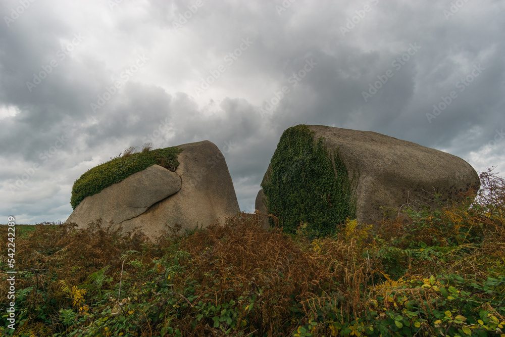 Obraz premium weathered batholith granite rock formation where erosion resulted in gap dividing the rock with overcast cloudy sky, Ile Callot, Brittany, France