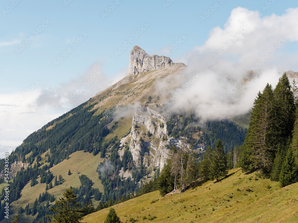 Zwischen Berner Alpen und Luzerner Voralpen im Schweiz. Gipfel Schibengütsch mit dem Karstlandschaft der Schrattenfluh vom Tannigsboden aus gesehen