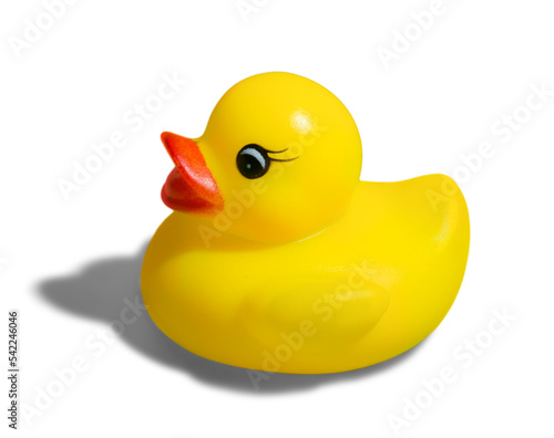 Fotografie Rubber Duck
