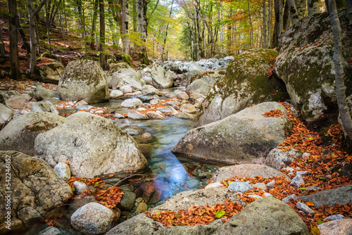L'Agnone river passes through the forest of Vizzavona alongside the GR20 trail in Corsica