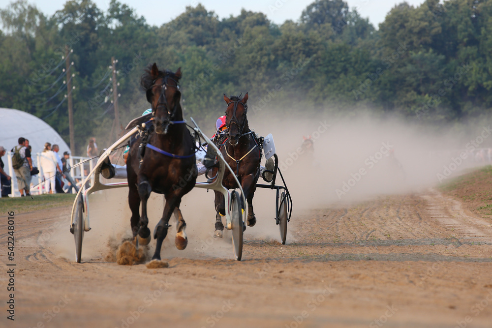 Horses and riders running at horse races Horses and riders running at horse races