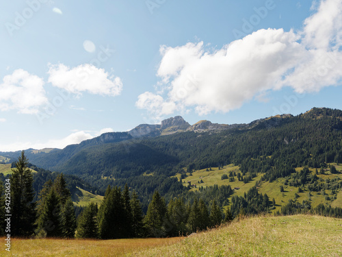 Das Hohgantmassiv im Schweiz - Emmentaler Alpen - vom grüne Weiden von Tannigsboden aus gesehen photo