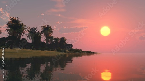 Beach with palm trees at sunset, 3d rendering