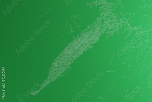 Map of the streets of Conakry (Guinea) made with white lines on green paper. Rough background. 3d render, illustration