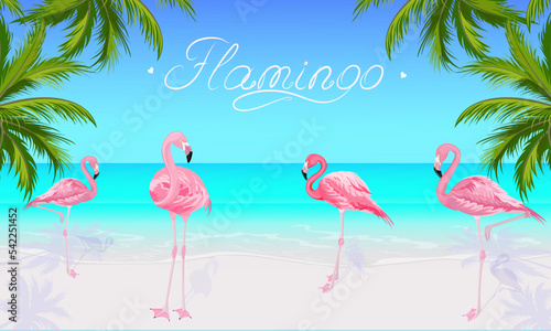 Panorama of a sunny summer day with pink flamingos standing on the shore of a tropical beach with white sand. Flamingo inscription on a clear blue sky. The green leaves of the coconut palm. © Olya