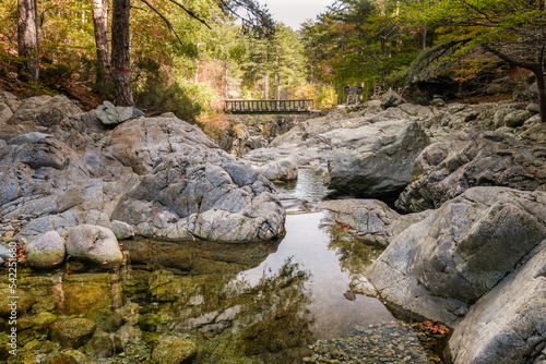 L'Agnone river passes over rocks into natural pools and under a wooden bridge in the forest of Vizzavona alongside the GR20 trail in Corsica photo