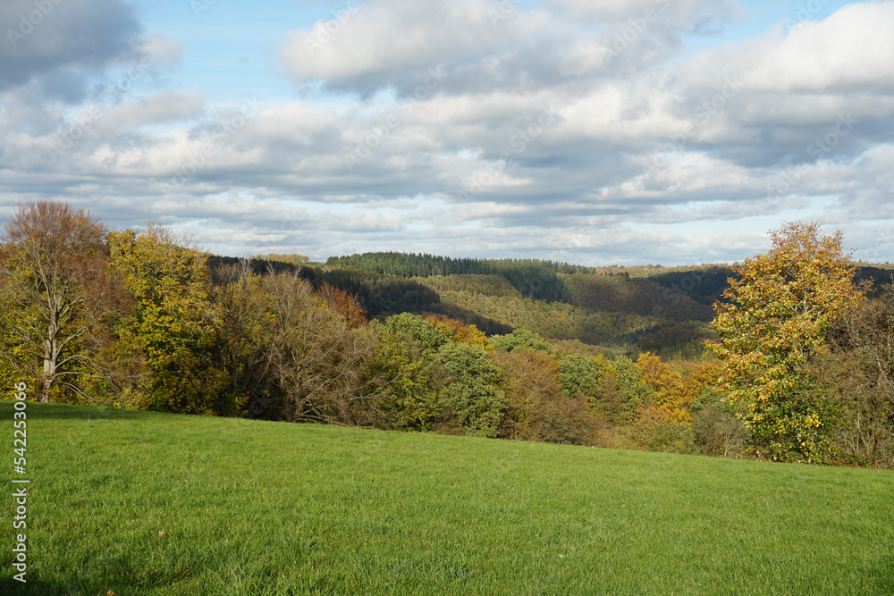 Fototapeta premium Eifelimpressionen - Herbst in Monschau