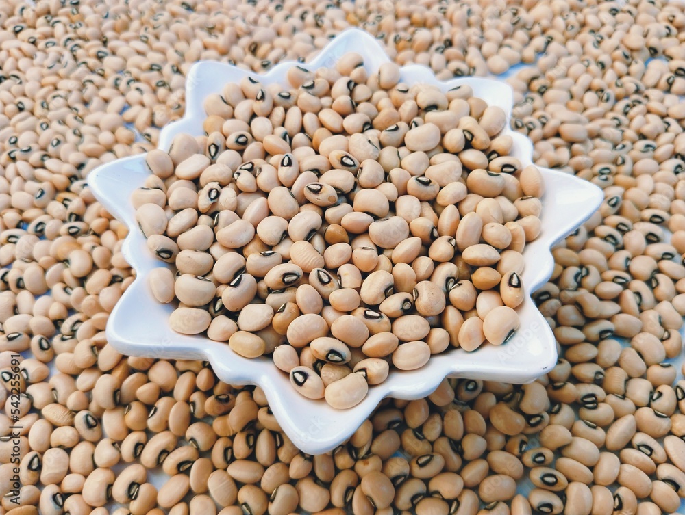 Cowpea blackeyed pea seeds white lobia a legume pulse an edible bean a