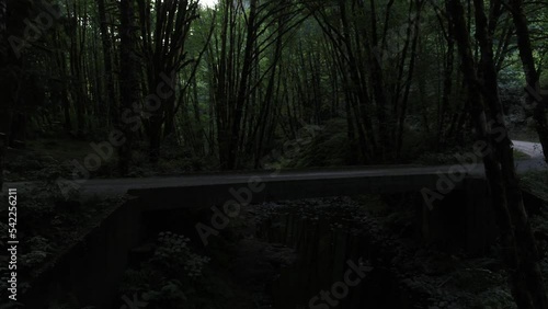 Aerial pushing in above dirt road and bridge in dark rainforest in Tillamook State Forest in Oregon above small creek photo