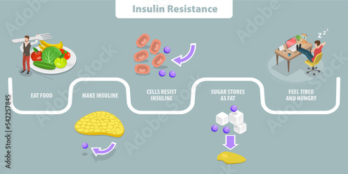 3D Isometric Flat Vector Conceptual Illustration of Insulin resistance, Symptoms of Metabolic Syndrome